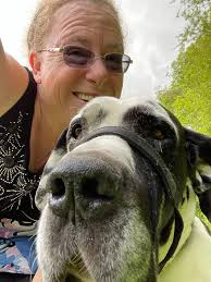 Willow The Great Dane • Facebook