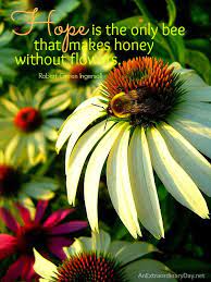Hope The Week At A Glance 8 10 An Extraordinary Day Flower Quotes Bee Quotes Scripture Artwork