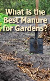 Best Garden Manure Manure Manure Composting Horse Manure Composting