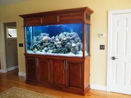 Custom Aquarium Cabinets And Stands For Freshwater And Saltwater Tanks Fish Tank Custom Aquarium Fish Tank Games