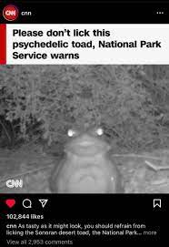 Please don't do it. : r/comedyheaven