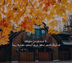 pin by leillly on خريف good life quotes photo quotes beautiful words