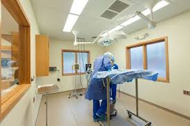 Making It Big In The Midwest Hospital Design Veterinaria