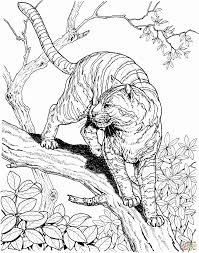 Your child will love coloring his favorite zoo animals. Coloring Pages For Animals In The Jungle