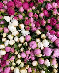 775 temporary jobs available in detroit, mi on indeed.com. Flowers For Dreams Home Facebook
