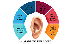 Tumors, ear infections, anemia and otosclerosis may also cause the ears to ring (x). Buy Al Eartone Al Eartone Ear Drops Antifungal Antibacterial No Side Effects 100 Ayurvedic Natural Herbal Ear Drops 10 Ml Pack Of 5 Online At Low Prices In India Amazon In