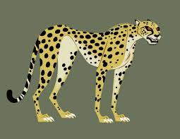 Ben Balistreri Wild Kratts Wild Kratts Cheetah Cartoon Animals Wild