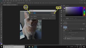 Check spelling or type a new query. Clipping Masks With Adobe Photoshop Or Elements