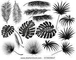image result for west african oil palm leaf dessin arbre feuilles tropicales pochoir couleurs par nombre de dans excel