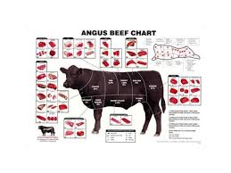 Angus Beef Chart Meat Cuts Diagram Poster 24x36