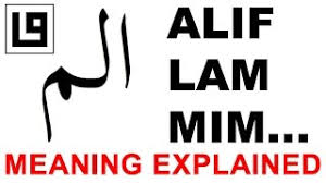 They are called muqatta'at (dis joined or disconnected letters). MuqattaÊ¿at Wikivisually