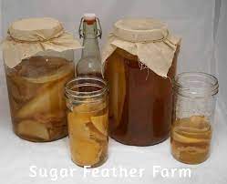 Kombucha Starter Package Sugar Feather Farm
