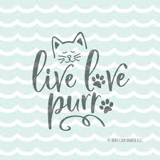 Pin On Animals Cats