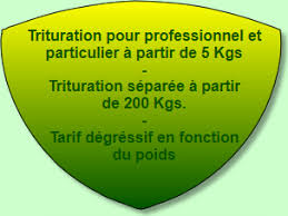 Moulin Le Clos Des Oliviers Oleiculteurs Mouliniers 34710 Lespignan