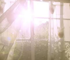 I M Wide Awake It S Morning Morning Light Photo Visual
