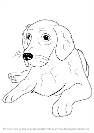 #drawsocutedogs learn #howtodraw a cute labrador or golden retriever puppy dog easy, step by step drawing tutorial. Learn How To Draw A Golden Retriever Farm Animals Step By Step Drawing Tutorials