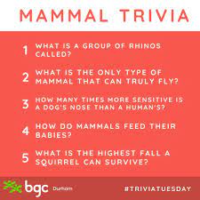 Instantly play online for free, no downloading needed! Bgc Durham Can You Figure Out These Trivia Questions About Mammals Answers Below 1 A Crash 2 Bats 3 1000 Times More