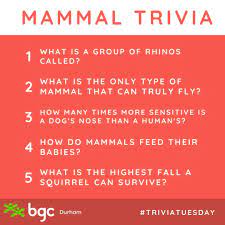 Aug 16, 2021 · trivia question: Bgc Durham Can You Figure Out These Trivia Questions About Mammals Answers Below 1 A Crash 2 Bats 3 1000 Times More