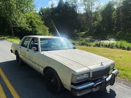 Image result for Grey 1986 Fleet