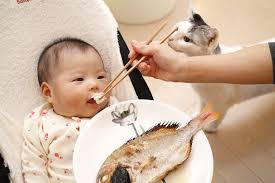 Bebeklerde ceviz gibi kuruyemişlerin verilme yaş aralığı 6 ay ile 36 ay arasında değişir. Bebekler Hangi Ayda Hangi Besini Yer Bebeklere Hangi Besinler Verilmemeli