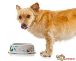 Reviews of the 3 best cesar dog food recipes. Cesar Dog Food Review Ingredients Analysis