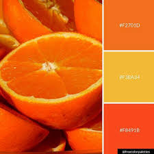 Ever Wonder Which Orange Was Named First The Fruit Or The Color The Fruit Was Named First It Dates Back To 1 Orange Color Palettes Fall Color Palette Orange