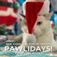 Pawlidays: Adoption Event event image