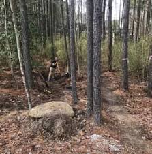 Borrowed the idea from diy friends. Backyard Mountain Bike Trail With Obstacles What And How Www Mymtbgear Com