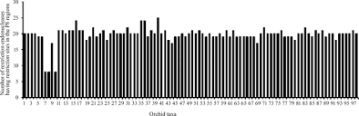 Image result for Rhipidoglossum kamerunense