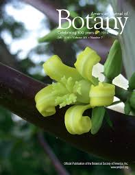 Image result for Chassalia umbraticola