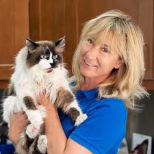 The veterinarians of rockford and the surrounding areas trust us to care for your pet outside their regular business hours. Veterinary Clinic In Dubai Vet Hospital In Dubai