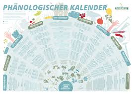 Phanologischer Kalender Als Pdf Permakulturgarten Gartenkalender Pflanzkalender