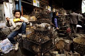Rat restaurants, wet markets and repressive regimes - Asia Times