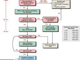 Pdf neonatal resuscitation programme in malaysia an eight year experience. Neonatal Resuscitation Program An Overview