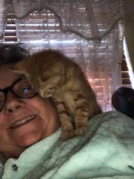 THURSDAY. 10/28/21 TONI THE TIGER I think I have a Parrot Kitty