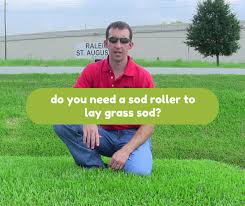 Healthy soil contains about 25% air and another 25% water. Do I Need A Sod Roller Houston Grass South Pearland Katy