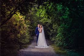 A hungry party crasher bear snuck into a wedding without invitation in nuevo leon mexico. Yqixnkh 966orm
