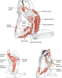 Pin On Yoga