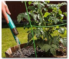 Also, it's a very important to note the water requirements of the specific type of plant you're growing. Watering 101 For Your Vegetable Garden Imc Outdoor Living