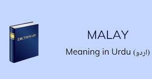 A significant result in a scientific study is a result large enough to matter. Malay Meaning In Urdu With 2 Definitions And Sentences