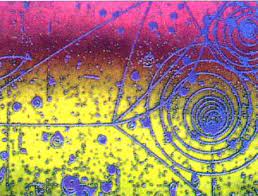 pin on science and nature
