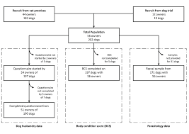 She started her career at 4, when she won a contest to choose brazil's most beautiful child at a popular variety show presented by chacrinha. Flowchart Describing The Recruitment Of Participants In A Download Scientific Diagram