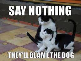 Your daily picdump featuring 34 funny pictures, memes, weird stuff, people falling, kittens, funny picdump pics, and of course a few ridiculous pics to round out today's picdump. Funny Animal Pictures With Quotes For Facebook