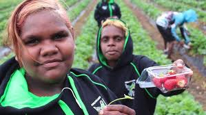 Pipalyatjara 2020 Camp