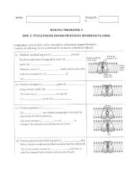 Movement of substances arcoss the plasma membrane. Latihan Biologi Tingkatan 4 Bab 3