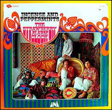 only the coolest people get to sit in the wicker peacock chair album cover art album covers album art