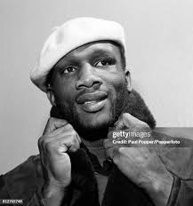 255 Bunny Johnson Stock Photos, High-Res Pictures, and Images