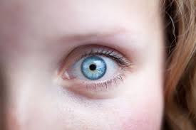 نتیجه جستجوی لغت [constricted] در گوگل