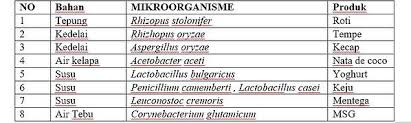 Mengenal Bioteknologi Konvensional Biologi Kelas 12