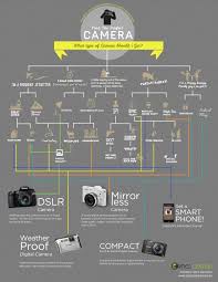 If You Are A Two Or Three Sides About What Type Of Camera To Get Next Why Not Let This Visual Guide Types Of Cameras Perfect Camera Photography Cheat Sheets